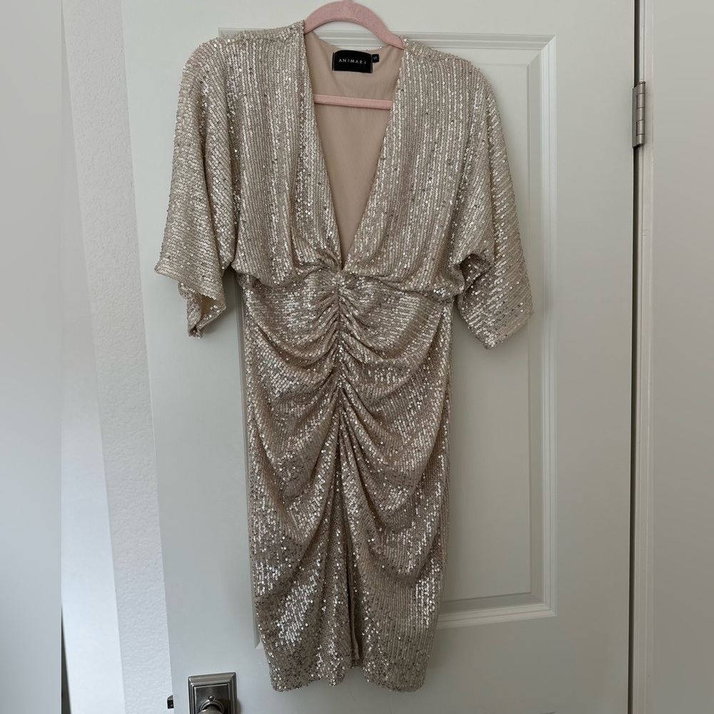 Animari Silver Sequin Dress
